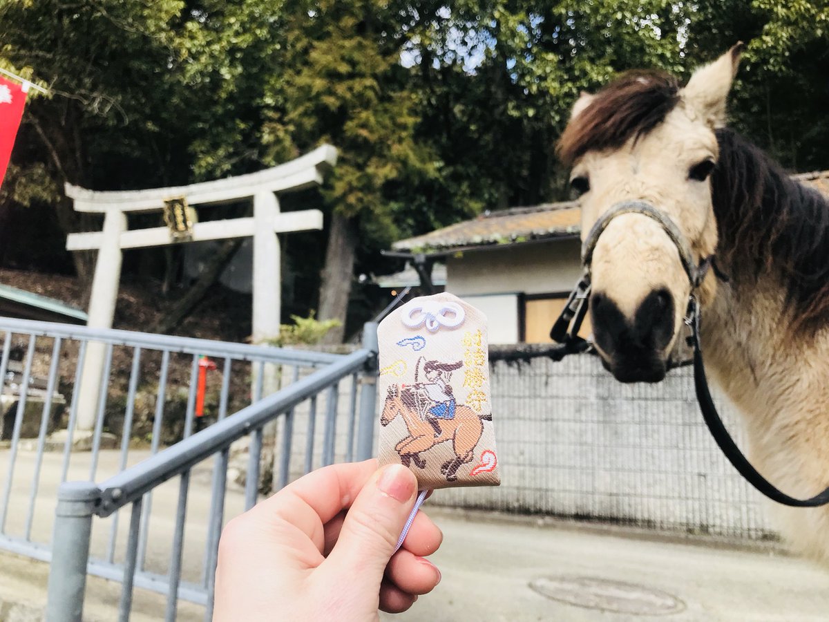 Cosmos_Samurai's tweet photo. #吉川八幡神社 
#御神馬いづめ 
#いづたん
#YoshikawaHachimanShrine
#SacredHorse https://t.co/FZf1ZACW7x