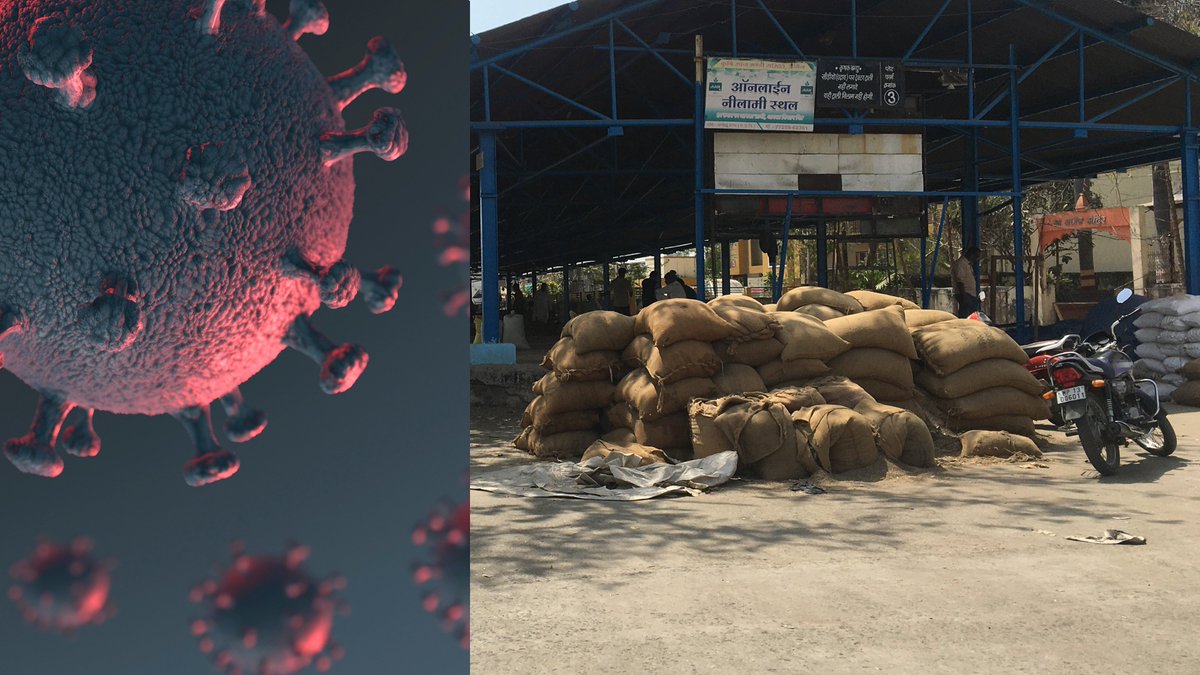 Agrigator_India's tweet photo. Part 2 of the series: 
Article presents a holistic view of the challenges and setbacks the #agriculture #supplychain is facing due to the COVID-19.

#logistics #startup #entrepreneur #Covid_19 

Read more on:
https://t.co/isOUPAUZMB https://t.co/EHF3Pytk2A