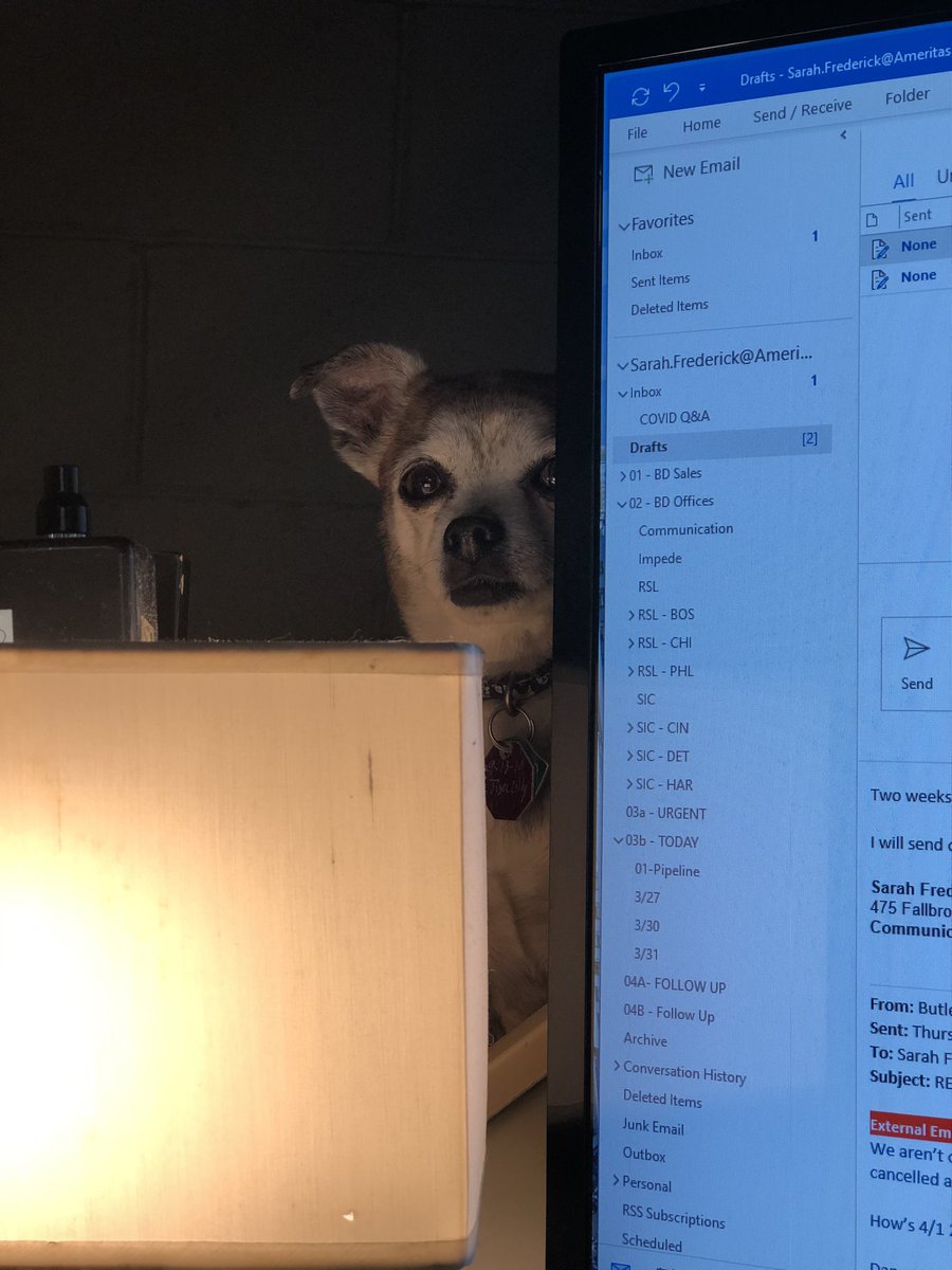 ActiveMom4Life's tweet photo. @stlcuptracker Tiger Lily creeping on my #WFH space whenever I have food. 😜 https://t.co/nnRvYpeTa5