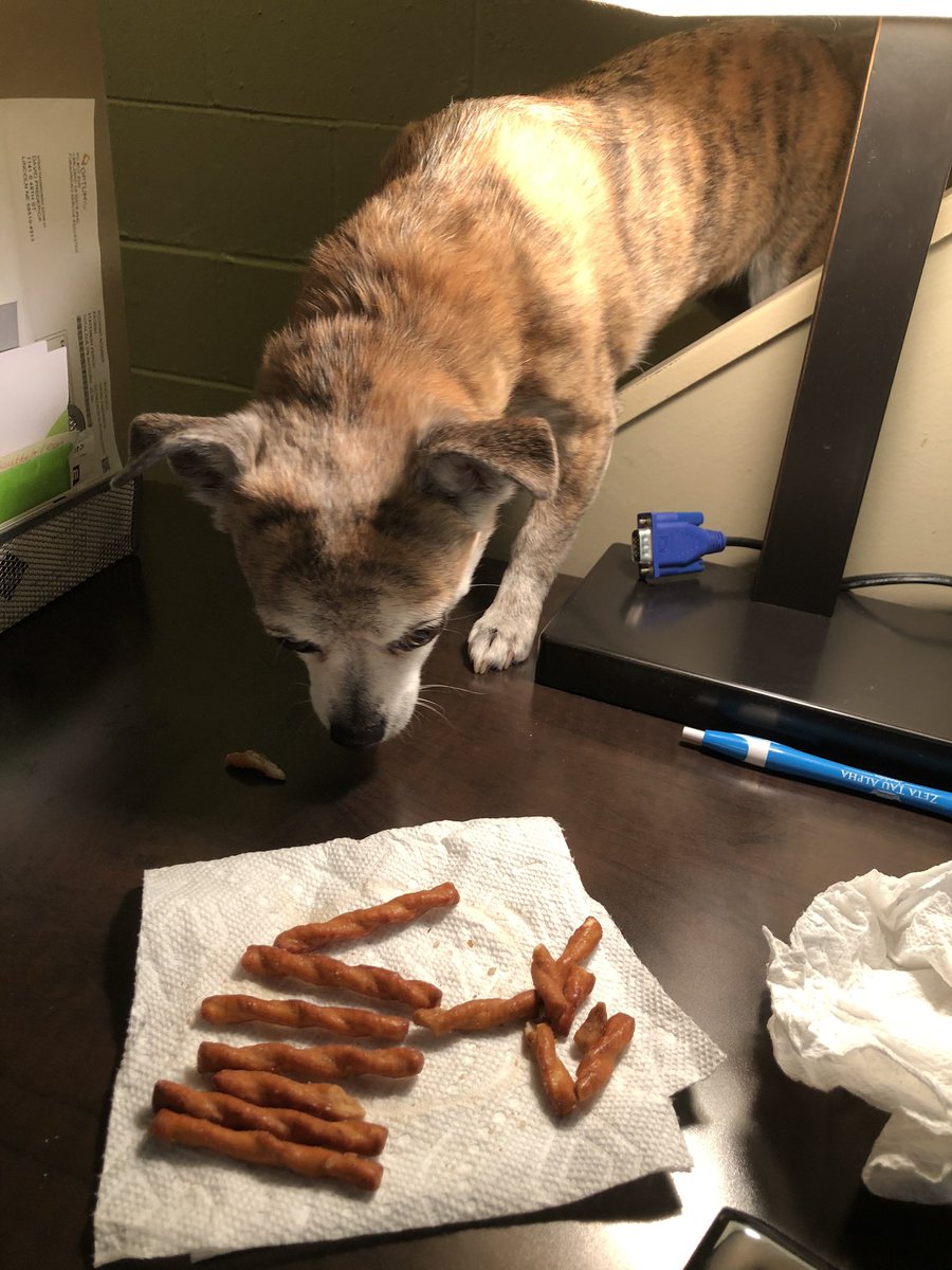 ActiveMom4Life's tweet photo. @stlcuptracker Tiger Lily creeping on my #WFH space whenever I have food. 😜 https://t.co/nnRvYpeTa5
