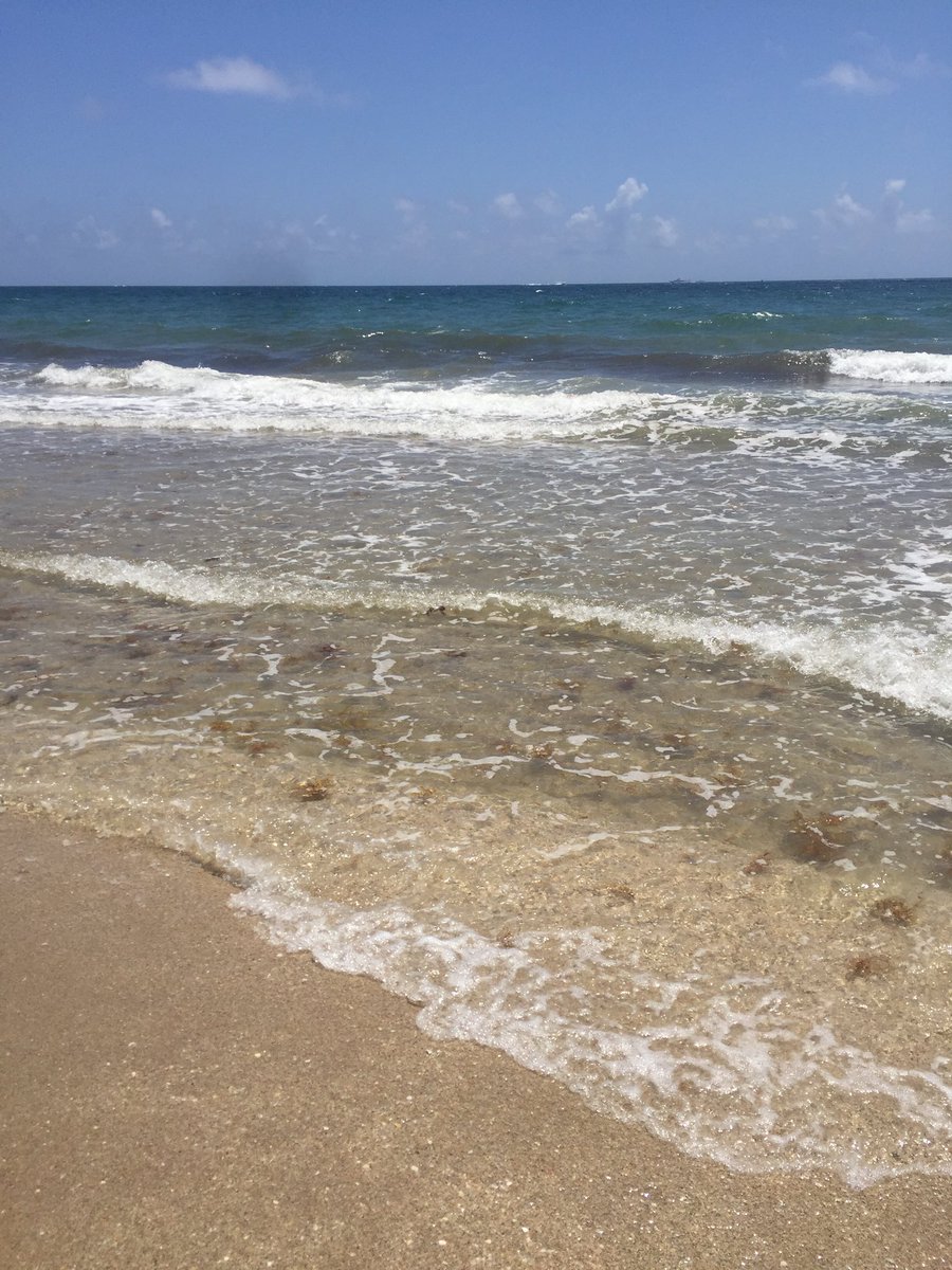 nancy_krush's tweet photo. I’m just curious my #BestBlueFamily ... where are you?  I’m in Miami. Post a pic please? (My favorite uncool beach ) @sassysenior702 @lucky_deviant @SunshineMustang @hellinabucket13 @JudithB09311339 @Im1SpoiledLady @nuttycrzygirl @robbiecole1 @buddyboi94 @JillBemi https://t.co/LUW8rE4Nuf