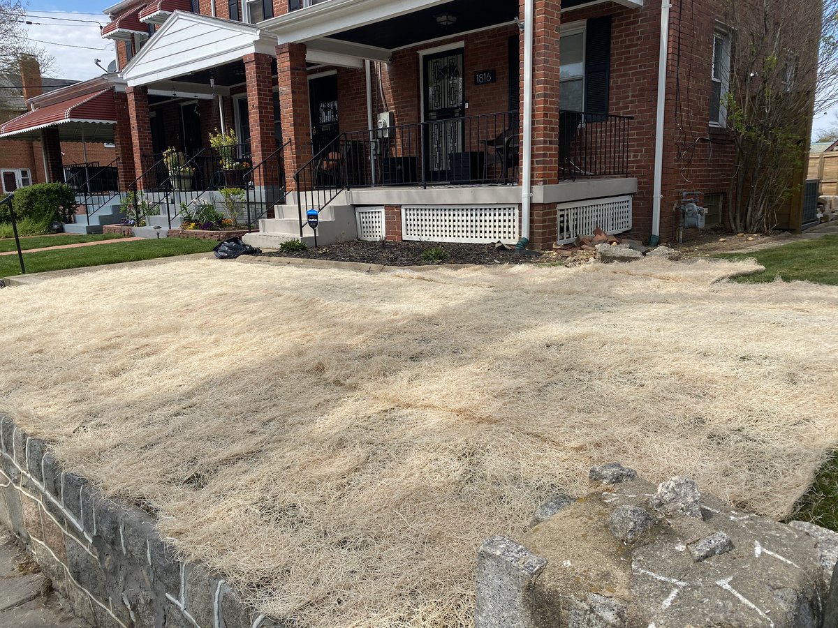 SBellDC's tweet photo. Creating a backyard oasis I can stay quarantined in even when restrictions are lifted. https://t.co/hMeomzNWK9