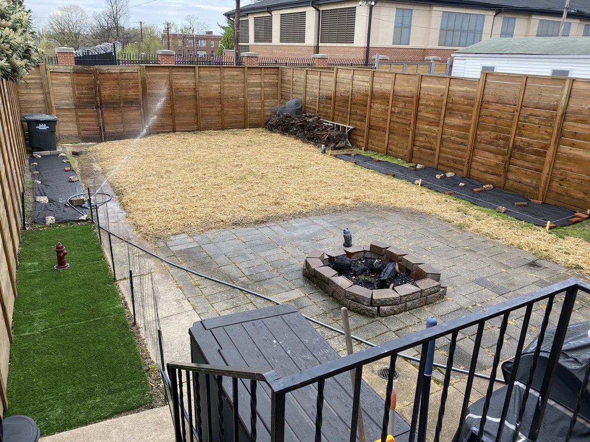 SBellDC's tweet photo. Creating a backyard oasis I can stay quarantined in even when restrictions are lifted. https://t.co/hMeomzNWK9