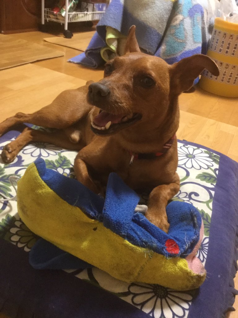 輪宝☸️ tweet media