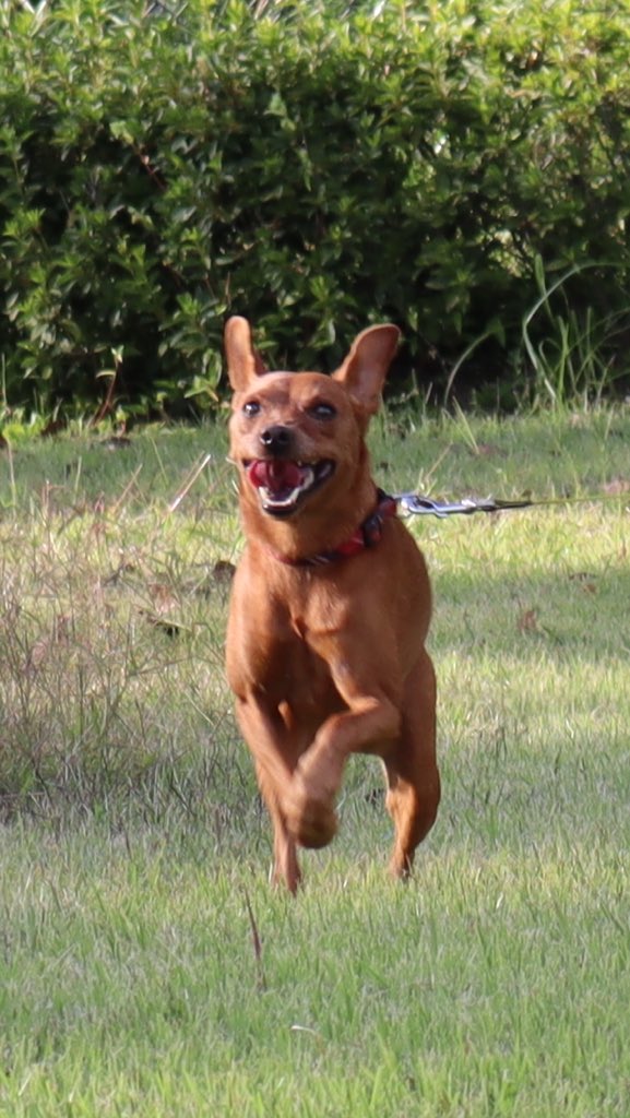 輪宝☸️ tweet media