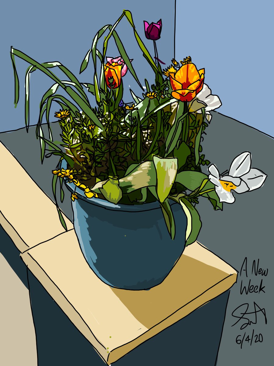 Mike Smith (@65mikesmith) on Twitter photo 