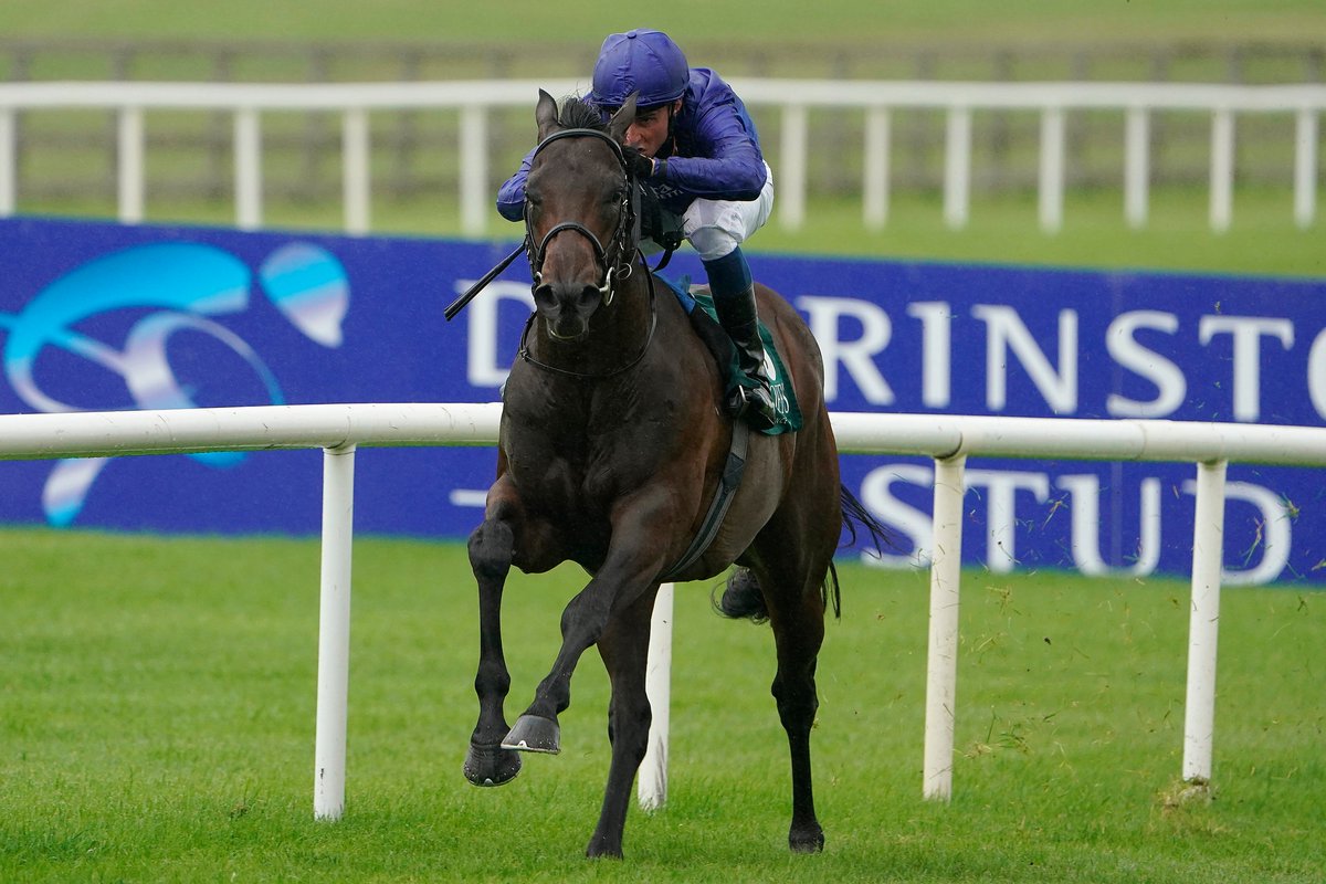 WHR's tweet image. If you could own either TIZ THE LAW 🇺🇸 or PINATUBO 🇬🇧 which colt would you go for?

🔄 RT for Tiz The Law
❤️ Like for Pinatubo
🗣️ Comment to tell us why