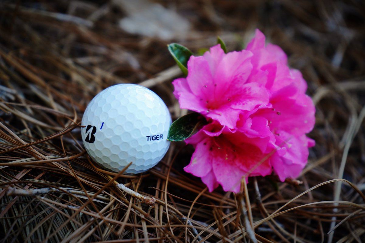 bridgestonegolf's tweet image. 🌺HUGE April Prize Package🌺

For the chance to win this ultimate April Prize Package:
🌸RETWEET
🌸FOLLOW @bridgestonegolf 
🌸SIGN UP &amp;gt; bit.ly/AprilSubToWin_s

⭐️TAG 2 friends who need this too!

▪️ (1) Grand Prize Winner
▪️ (3) 2nd Prize Winners 
▪️ (100) 3rd Prize Winners