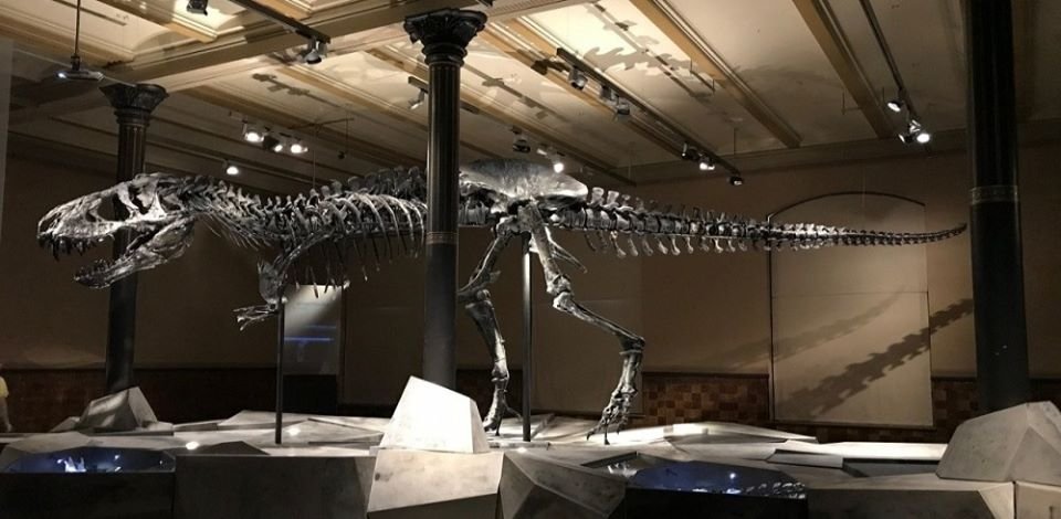 CoderDojoQuartu's tweet image. 10 #musei per bambini da visitare online #iorestoacasa: bit.ly/2XiimBM
#cultura #arte #storia #spazio #scienza #tecnologia