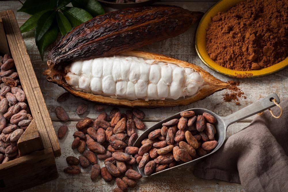 Africa Global News on Twitter: "#Ghana's cocoa output could exceed 1  million tonnes, thanks to a $600 million Cocobod loan facilitated by the  African Development Bank. The funds will help finance the
