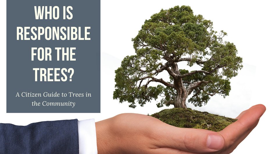 NCSUExtForestry's tweet photo. Have you ever wondered who takes care of the trees in your community? Check out this #newpublication from NC State Extension and our own Dr. Robert Bardon, "Who is Responsible for the Trees? A Citizen Guide to Trees in the Community" available now https://t.co/JzOCuOFL9F https://t.co/Jev4u4abCr