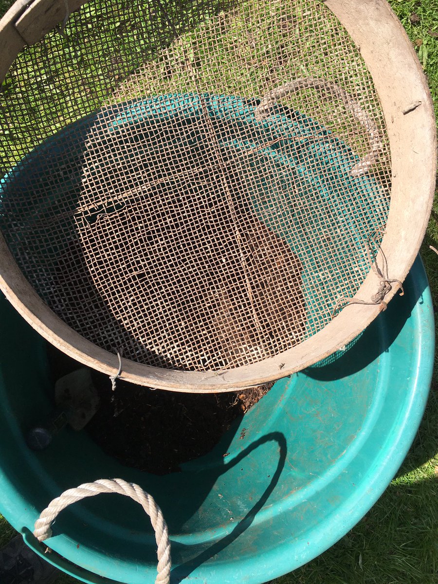 Hugh_Cassidy's tweet photo. Remember I sorted through the compost bin last week ... sieve ... sieve ... sieve ... 🌱🌱 #ThirtyDaysOfSeedSowing https://t.co/Y4X4RSUhIN