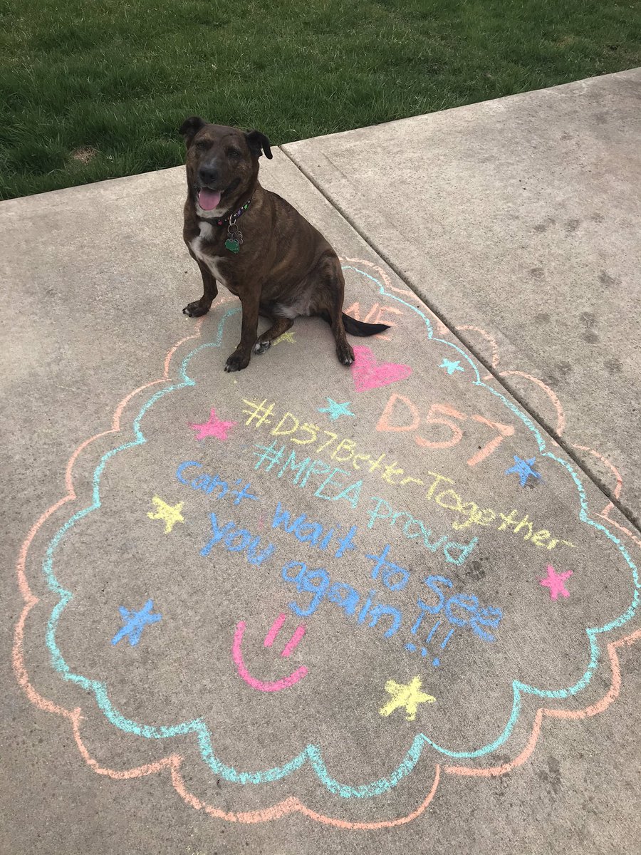 k_kaage's tweet photo. We officially “Chalked the Walk” to celebrate our first District Spirit Day!!! #D57SpiritDays #D57BetterTogether #MPEAproud https://t.co/OJn2f15sfW