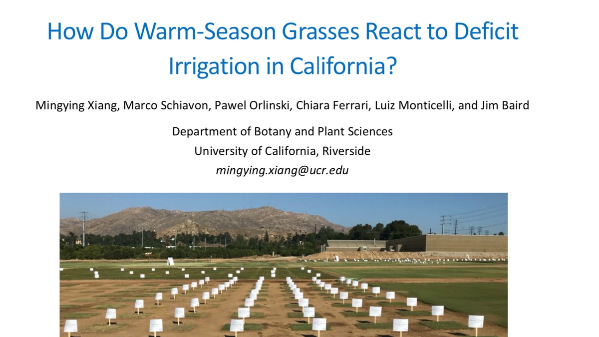 sodproservices's tweet photo. Tahoma 31 maintains best average turf quality in UC Riverside deficit irrigation study over other commercially-available bermudagrasses tested. READ FULL STUDY HERE: https://t.co/ADxbS8u4Vf
@UCRiverside #turfgrass #research #ET #deficitirrigation #Tahoma31 https://t.co/ShjLgKv76m