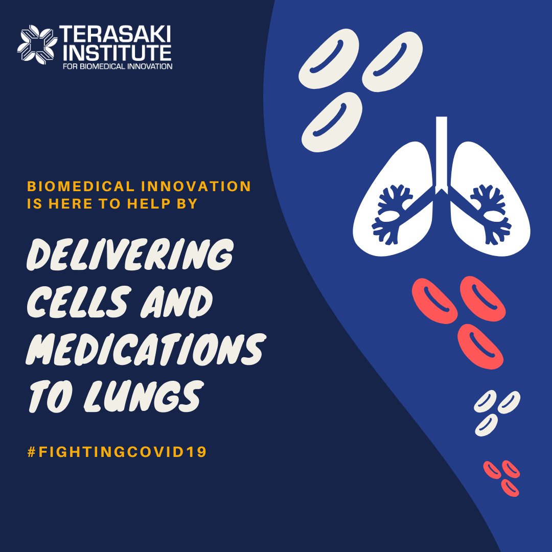TerasakiInst's tweet image. At TIBI we work on finding the most impactful solutions in real-time. Biomedical innovation gives us many ways to join the fight against COVID19. #fightingcovid19 #realtimesolutions #biomedicalsolutions #covid19 #lungtherapies #weareheretohelp #innovation