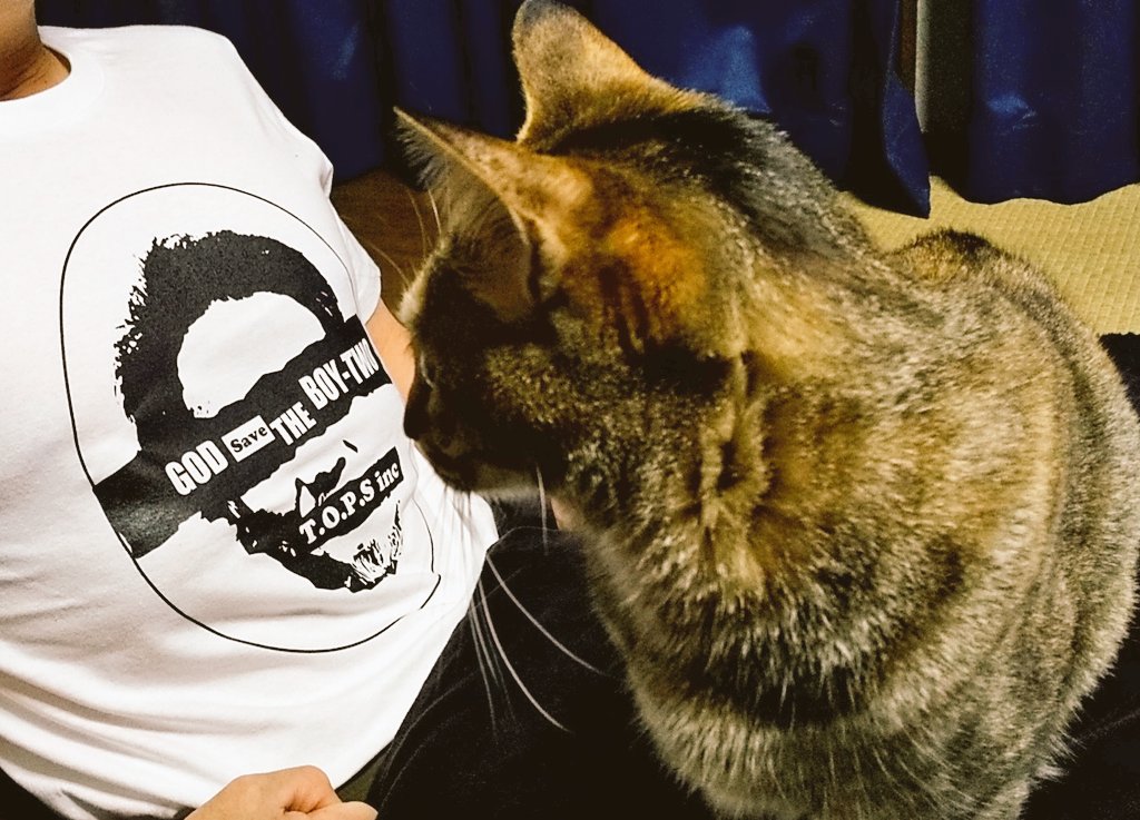 jijihanavanilla's tweet photo. 坪井さんTシャツ届きました。
うちの猫も興味津々でっす。
今夜、ワタシ、これ着た旦那と一緒に寝るんですね、、、、、
#誰にゃ?!
#tops #oitatops #Tシャツ #ライブハウス #他のver.も欲しい https://t.co/fePKHKUTrW