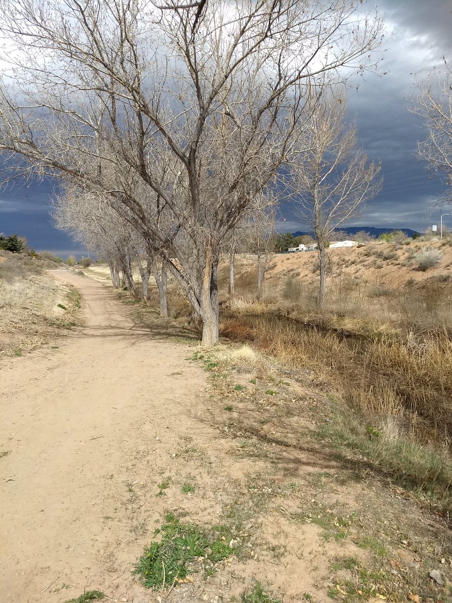 joshagentry's tweet image. #pandemicdiary