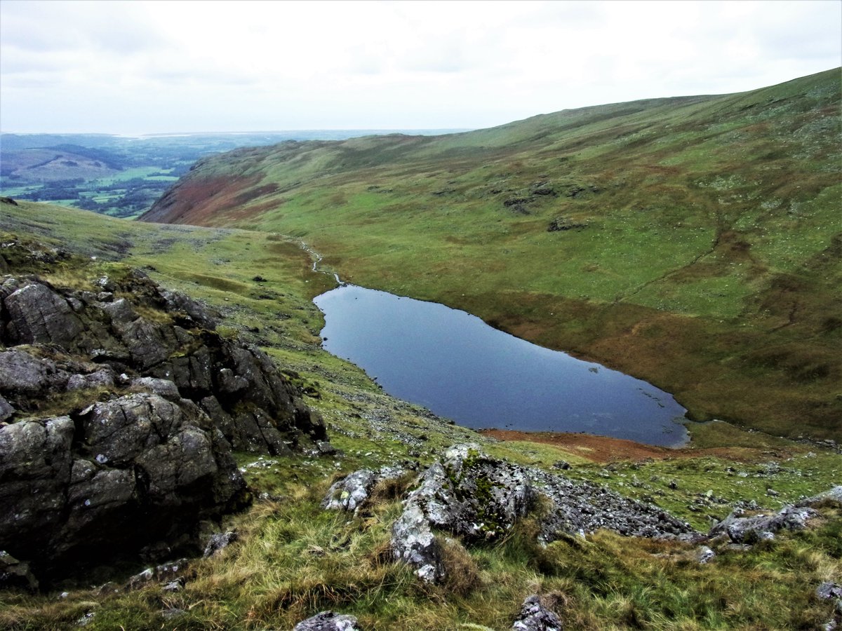StanLeigh18's tweet photo. My #Lakeland tour of #Wainwrights continues - lowest summits to the highest 
#Seatallan #WesternFells-121st on the list - 2266ft  in the Pictorial Guide
#GreendaleTarn nearby 
- Heading for #Seatallan from #Middle Fell
- summit views - towards #Sellafield &amp; #Scafells https://t.co/IjROV33807