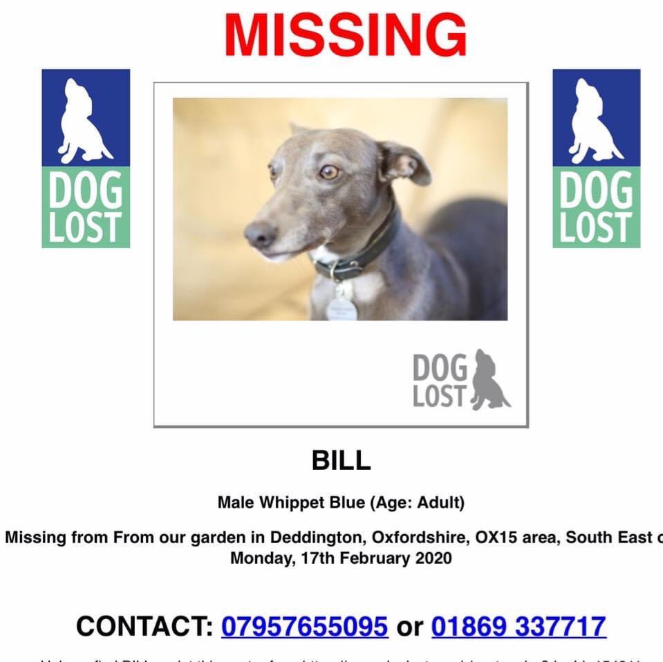 molliepug2's tweet photo. πβ€οΈπβ€οΈπ ***Bill still π
Όπ
Έπππ
Έπ
½π
Ά*** βΉ
Please share in all areas to help him get home.
Missing since 17/2/20
From #Deddington #Oxfordshire
Facebook page:
https://t.co/8hPz6xUE6o
#MissingDogsUK
#DogsAreFamily
#VetsToScan
#ScanMe https://t.co/MKfYAoK8kb