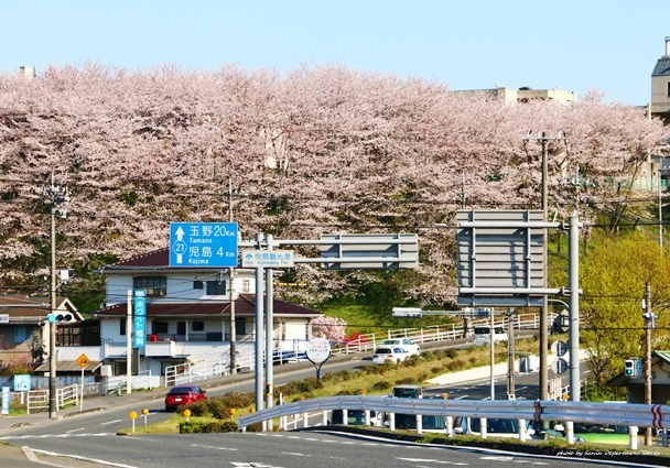 倉敷市立短期大学