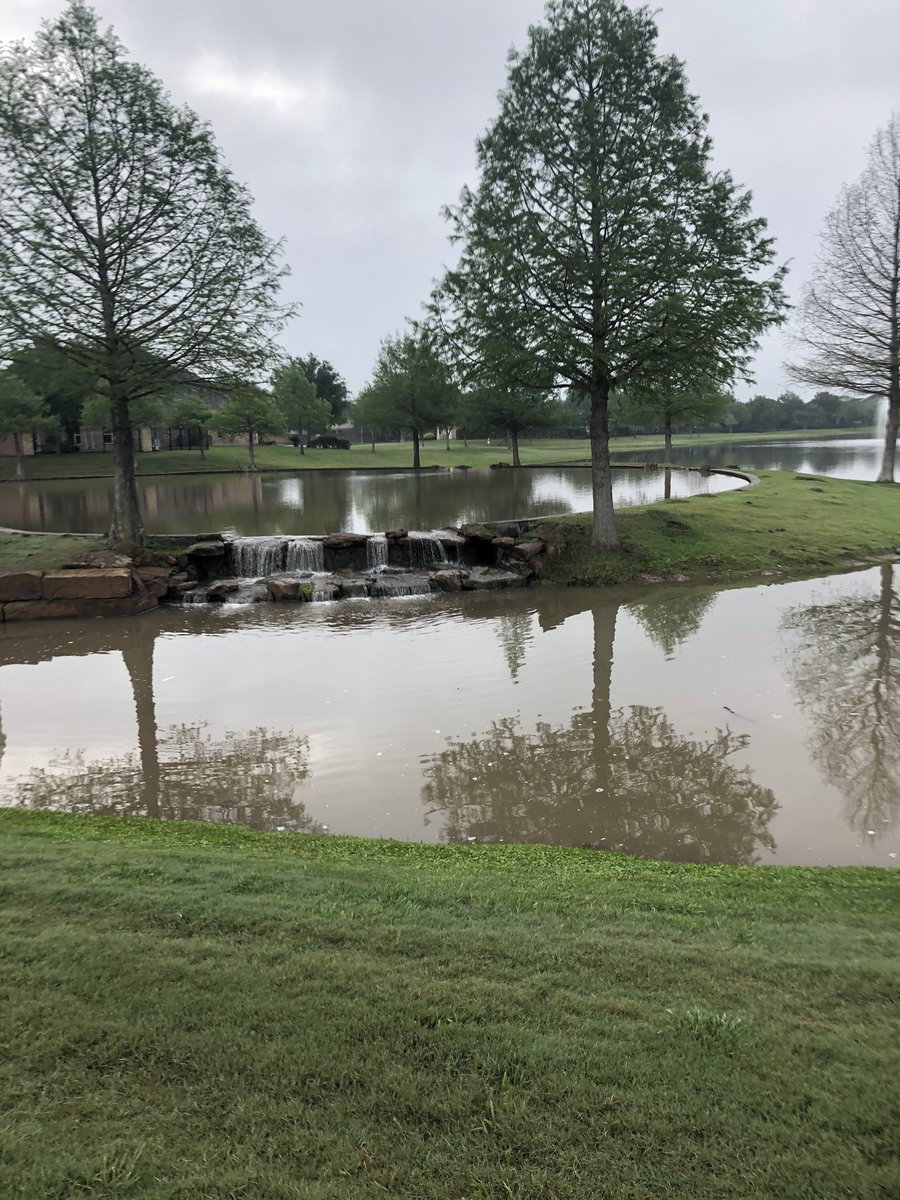 TXCoolPrinc's tweet image. Day 2 of Kindness Challenge! I’m thankful for 1. My sweet walking partner Nellie 2. Beautiful neighborhood 3. Baby ducks 4. Smell of jasmine 5. Turtles #KatyCommUNITY #KatyStrong