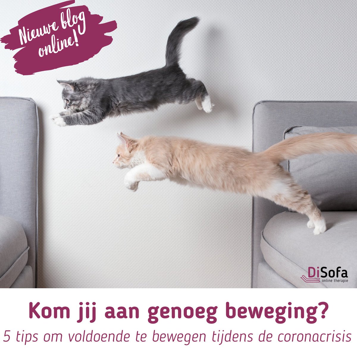 Bewegen heeft een positief effect op je mentale gezondheid. Maar hoe doe je dat nu sportclubs niet meer actief zijn en fitness centra dicht zijn? Graag geven we je tips om toch te blijven bewegen, juist nu, tijdens de coronacrisis 👉 bit.ly/39Sp2sI

#bewegen #sporten