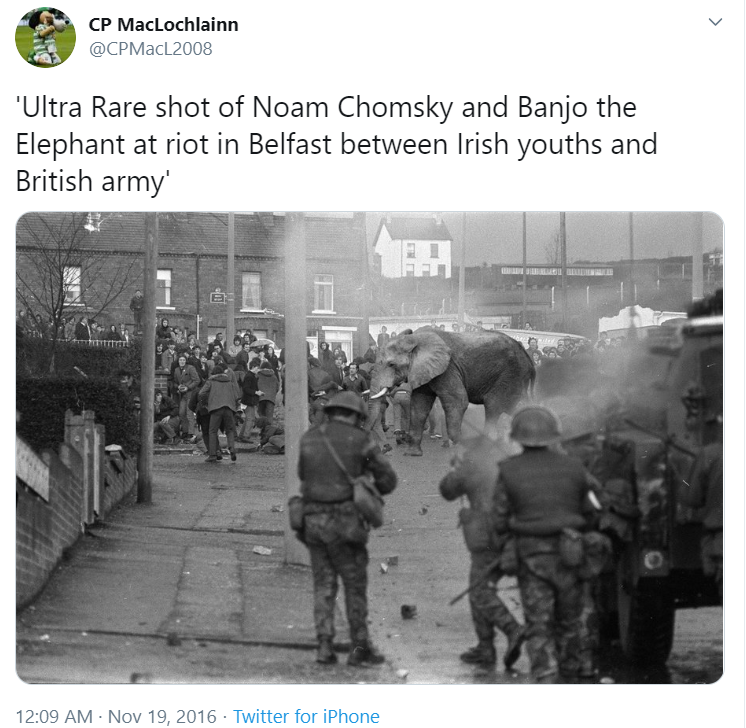 But one picture came up several times. It’s this one, of an elephant at a Belfast riot. To be clear, most weren’t taking it at face value, and were presenting it for absurdist purposes only. But a little searching showed it had been all over Twitter for some time.