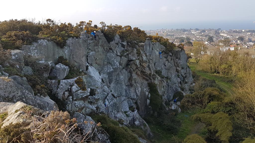 macgabhann31's tweet photo. Another one of the little things. #climbing #dalkey #dalkeyquarry #quarry https://t.co/usa2UXFJc9