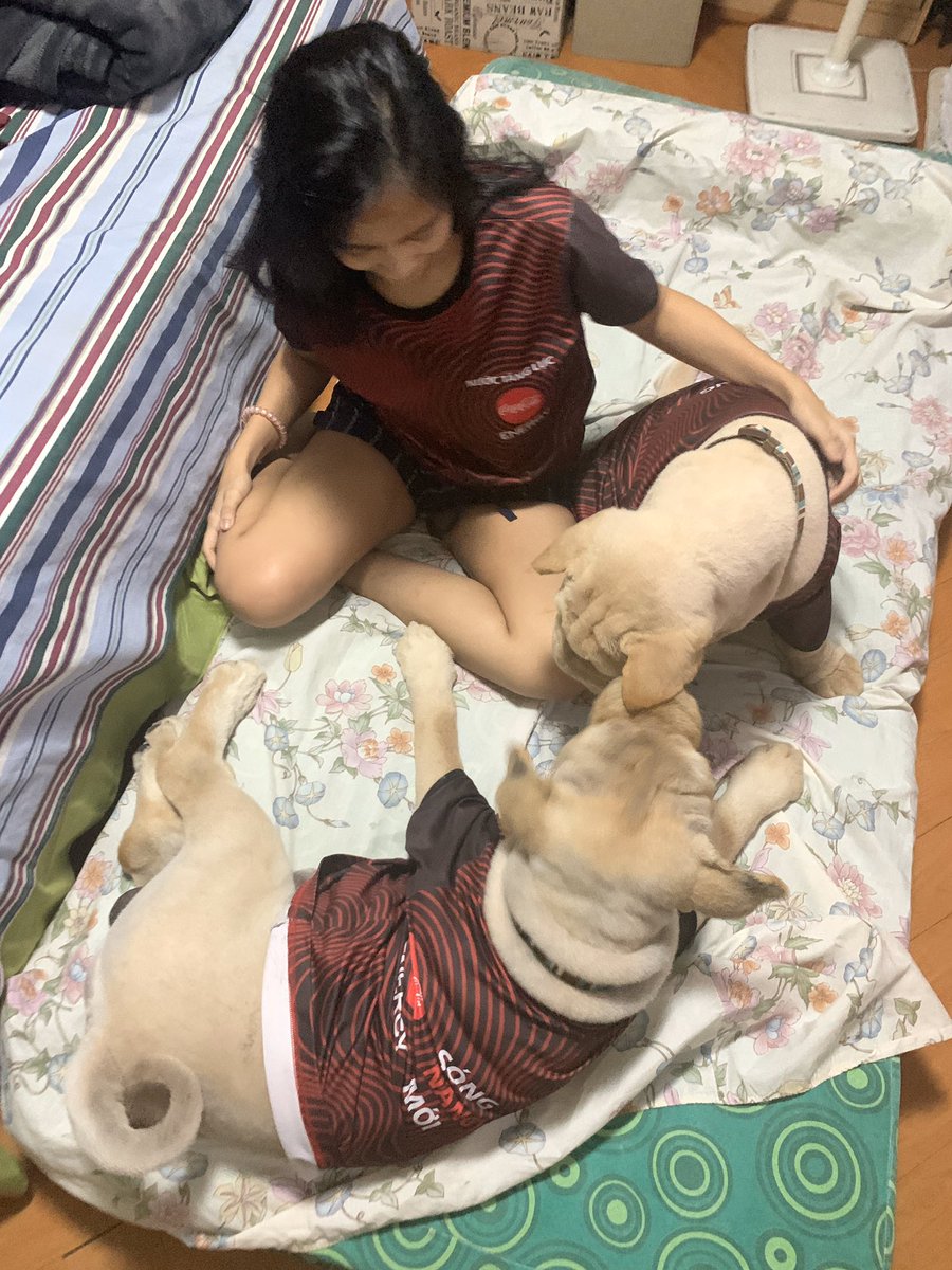 MelissaFinish's tweet photo. I FOUND ANOTHER MATCHING SHIRT!! I belong 🐶🙅‍♀️🐶 https://t.co/DOFENsutkN