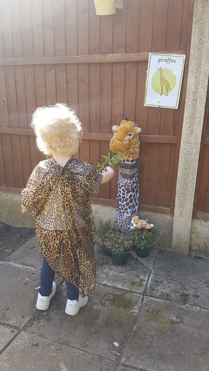 Beesley1986's tweet photo. We love going to visit @ColchesterZoo. So after we watched the meerkats we have visited the lions, fed the giraffe and the elephants. 
#entertainingtoddlers  #homelearning 
#EYFS https://t.co/63KPXwlrFh