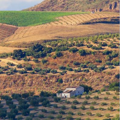 Innovative Sustainable Economy Mission tweet media