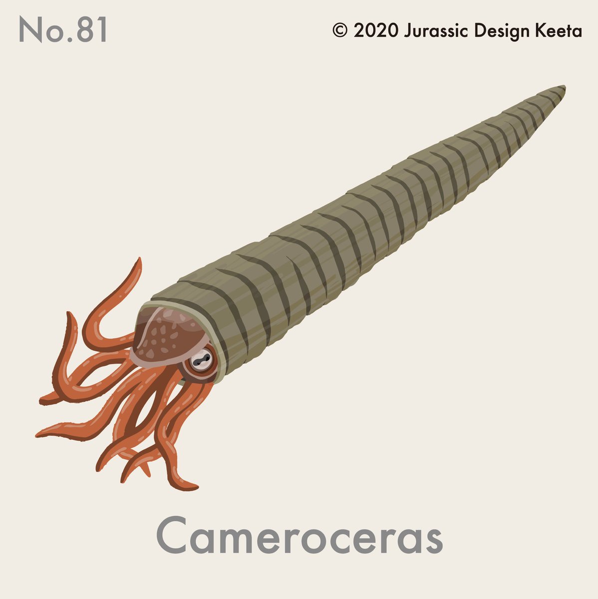 ケータ 博多阪急イベント中 No 081 Cameroceras カメロケラス Keeta オウムガイの仲間ですが ダイオウイカが 貝かぶった感じのやつ こんなの海で見かけたら 恐怖でしかない Juratopia ジュラトピア 恐竜 恐竜イラスト 恐竜