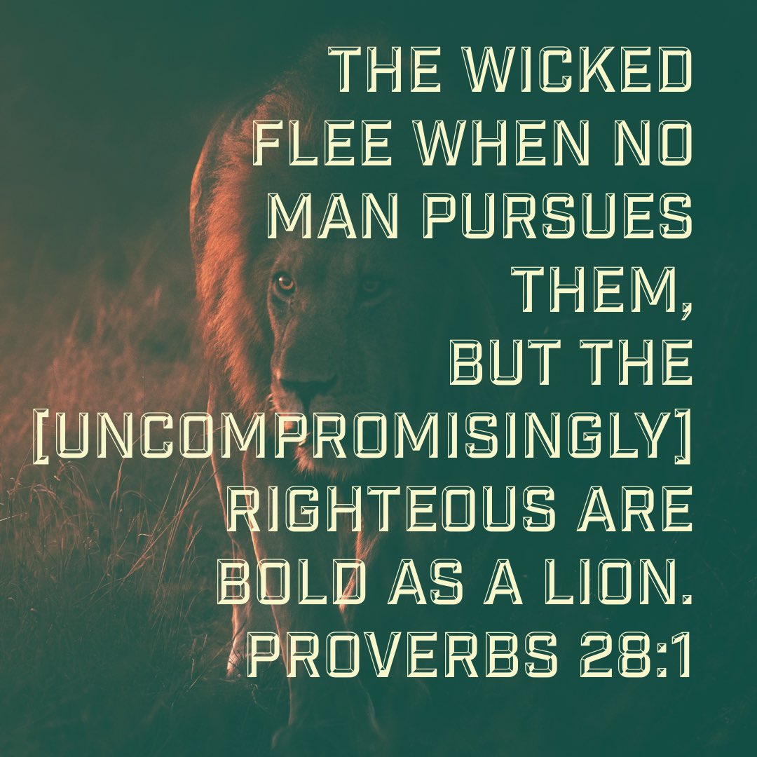 wordsoflife's tweet photo. #BEBOLD https://t.co/gNlW5lsJaV