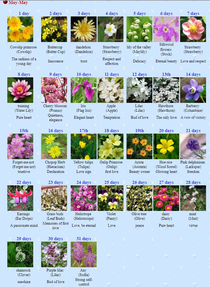 Sitara Semi Ia Because Of Work What S Your Birth Flower And Meaning I Found A Better Source Cr T Co Ql9zsgxkry Bts Btsarmy Runbts Btsrun Bts Twt T Co 4xd5xvkyba Sitara Semi Ia Because Of Work What S Your Birth Flower And Meaning I Found A Better Source Cr T Co Ql9zsgxkry Bts Btsarmy Runbts Btsrun Bts Twt T Co 4xd5xvkyba