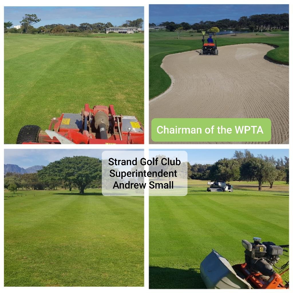 SyngentaTurfSA's tweet photo. So awesome to see the superintendent of Strand Golf Club and Chairman of the #WPTA - making sure his course gets into tip top shape! ⛳ Brilliant work #AndrewSmall 👍🏻 https://t.co/HcOXoAwoWm