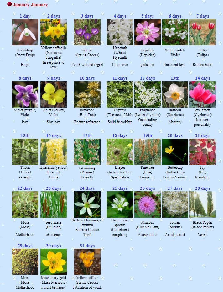area_tis's tweet photo. What's your birth flower and meaning? :)

I found a better source.
Cr. https://t.co/qL9zSgxKRy

#BTS #BTSARMY #RunBTS #BTSRun @BTS_twt https://t.co/eS7uceT26z