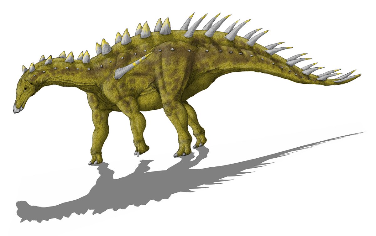 Twitter पर K Ta けーた ラーメンlover Adratiklit Boulahfa アドラティクリット Stegosauridae ステゴサウルス科 ミラガイアに近いらしいから 若干 首長めに描いた Twitter पर K Ta けーた ラーメンlover Adratiklit Boulahfa アドラティクリット Stegosauridae ステゴサウルス科 ミラガイアに近いらしいから 若干 首長めに描いた