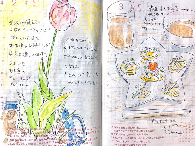 今年はもう咲いてるところは見れないのかもしれないな。また来年の春、おうちで育ててみてもいい。 #ほぼ日手帳 