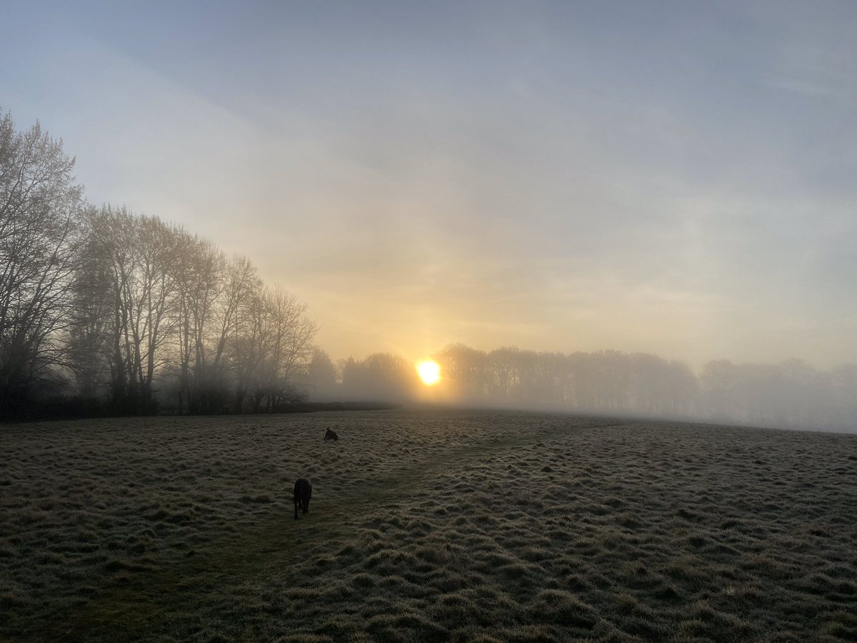 WendyFleet1's tweet photo. Great start to day with an early walk as the sun rose and then breathing and stretching with Jim DโSilva at #GarudaStudio laid on by #MercerUK for all employees. https://t.co/l0Vpw98SpW