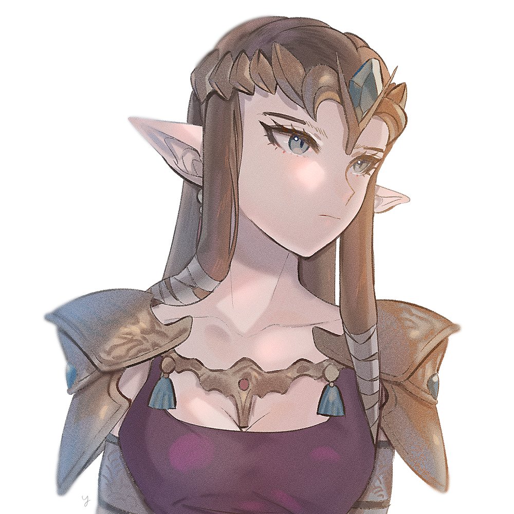 ゼルダ姫 「Zelda 」|yasaikakiageのイラスト