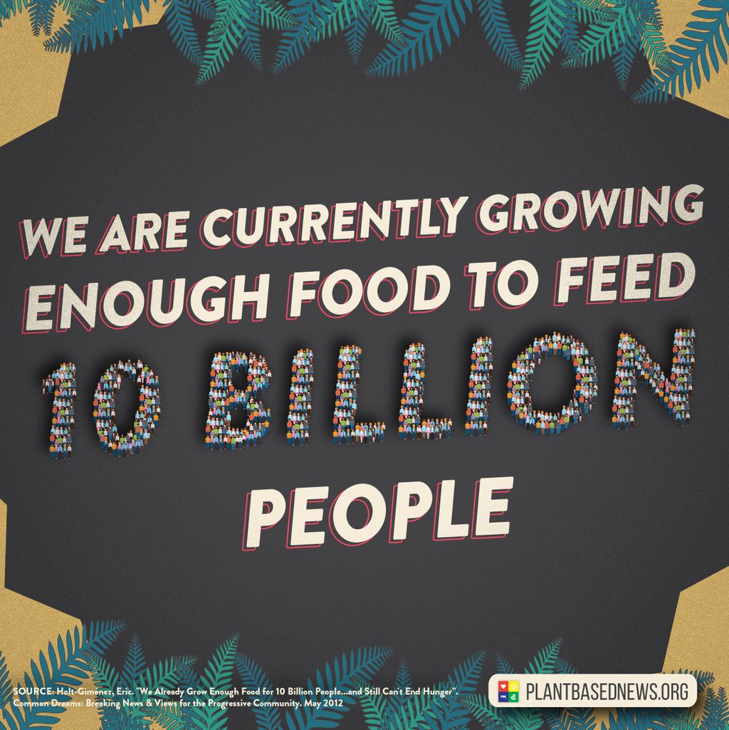 PlantBasedNews's tweet photo. There are 8 billion people on earth 🌏, almost 1 billion are starving, yet we manage to feed 56 billion animals a year (7x the human population), which occupy almost half of the land on earth 🐖🐄🐓. This is NOT sustainable. 😥

Try vegan for 22 days  👉https://t.co/2JAeUCDUQc https://t.co/6a3ttjmGCK