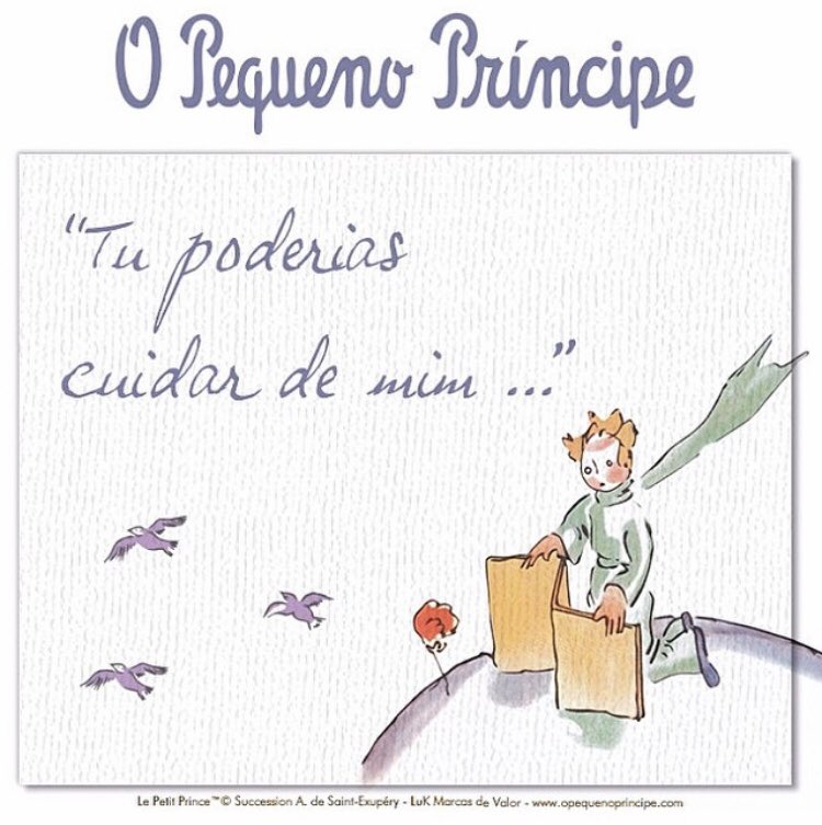 O Pequeno Príncipe tweet media