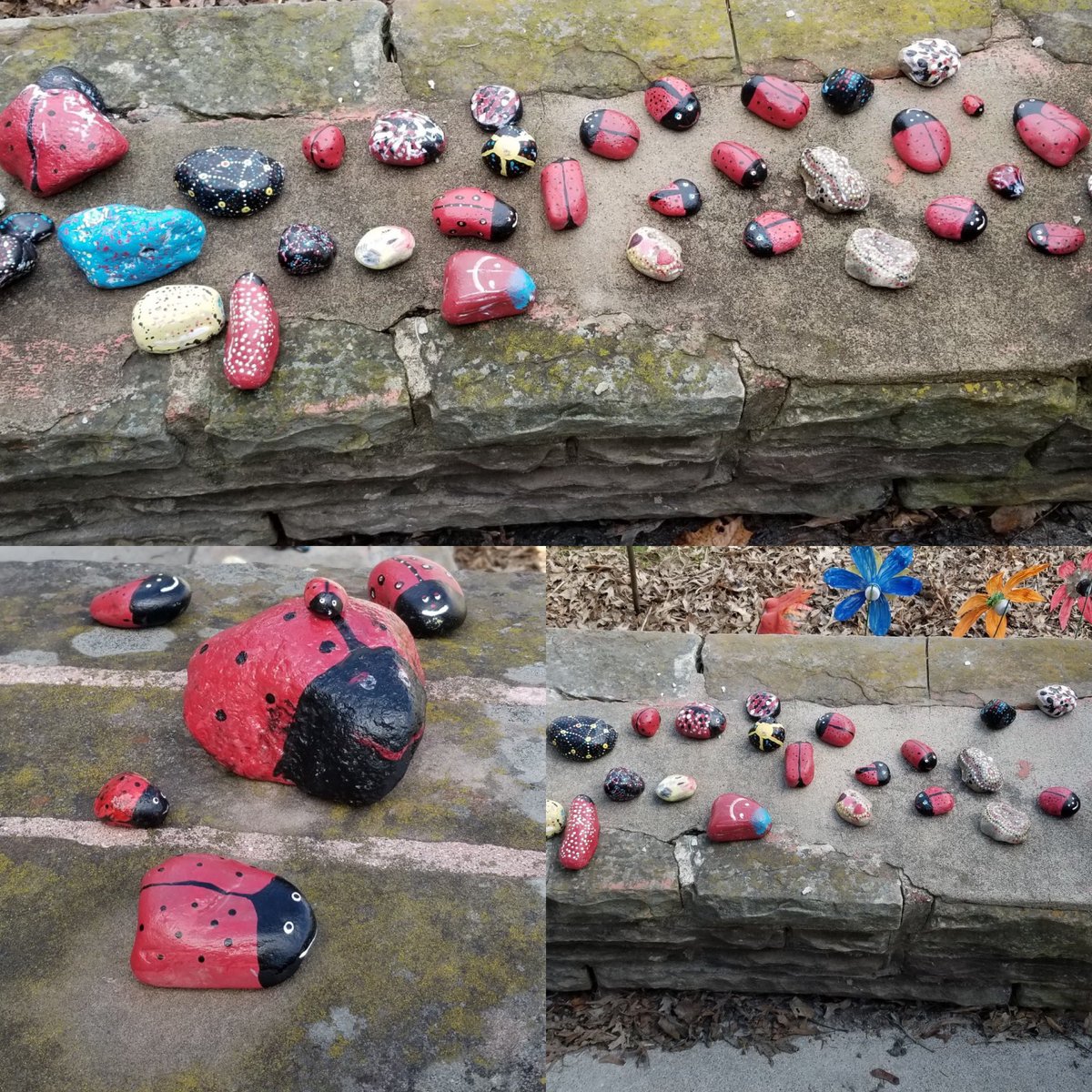 clcambridgeON's tweet image. This is how the folks from Dudhope have been keeping busy while staying home and staying safe. #bringinspring #inthistogether #wecandothis