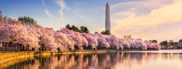 CDR_Magazine's tweet photo. .@IArbitrators inaugurates Washington office
https://t.co/Mf2pWio1tw https://t.co/wOOceTd57f