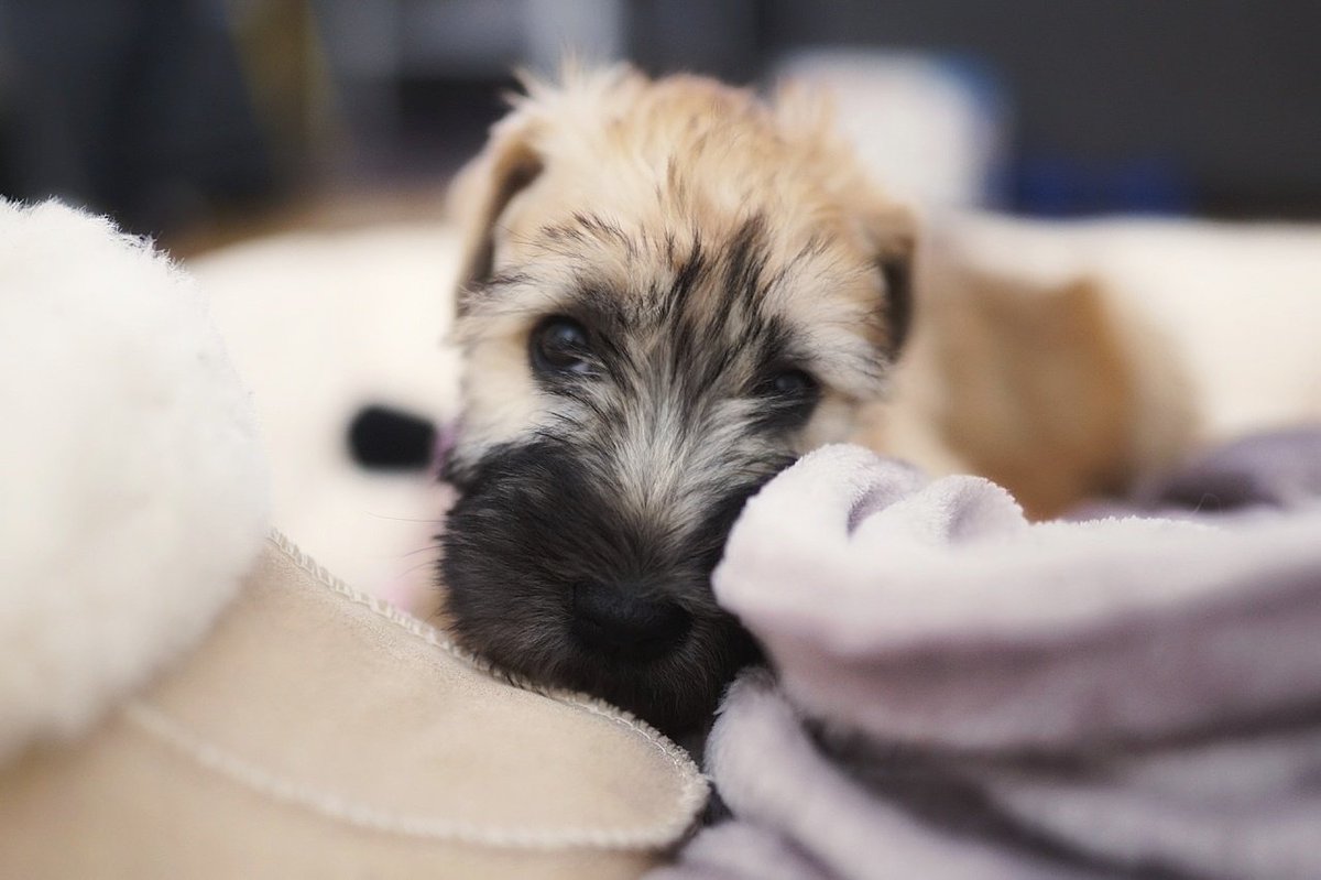 Friends,
Say hello to Wil Wheaten!