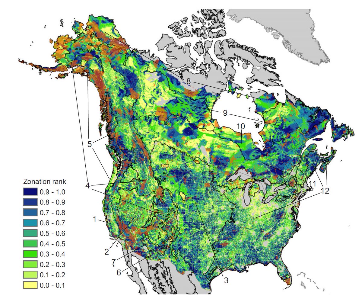adaptwest's tweet photo. New paper in @conletters maps where new protected areas should be located in Canada &amp; the US to stem biodiversity loss under climate change &amp; protect climate refugia &amp; corridors 
https://t.co/7HWY9ykV5G Data @ https://t.co/ncQksthO4z #Conservation2020 #CanadaTarget1 @conscorridor https://t.co/4765zlV2pv