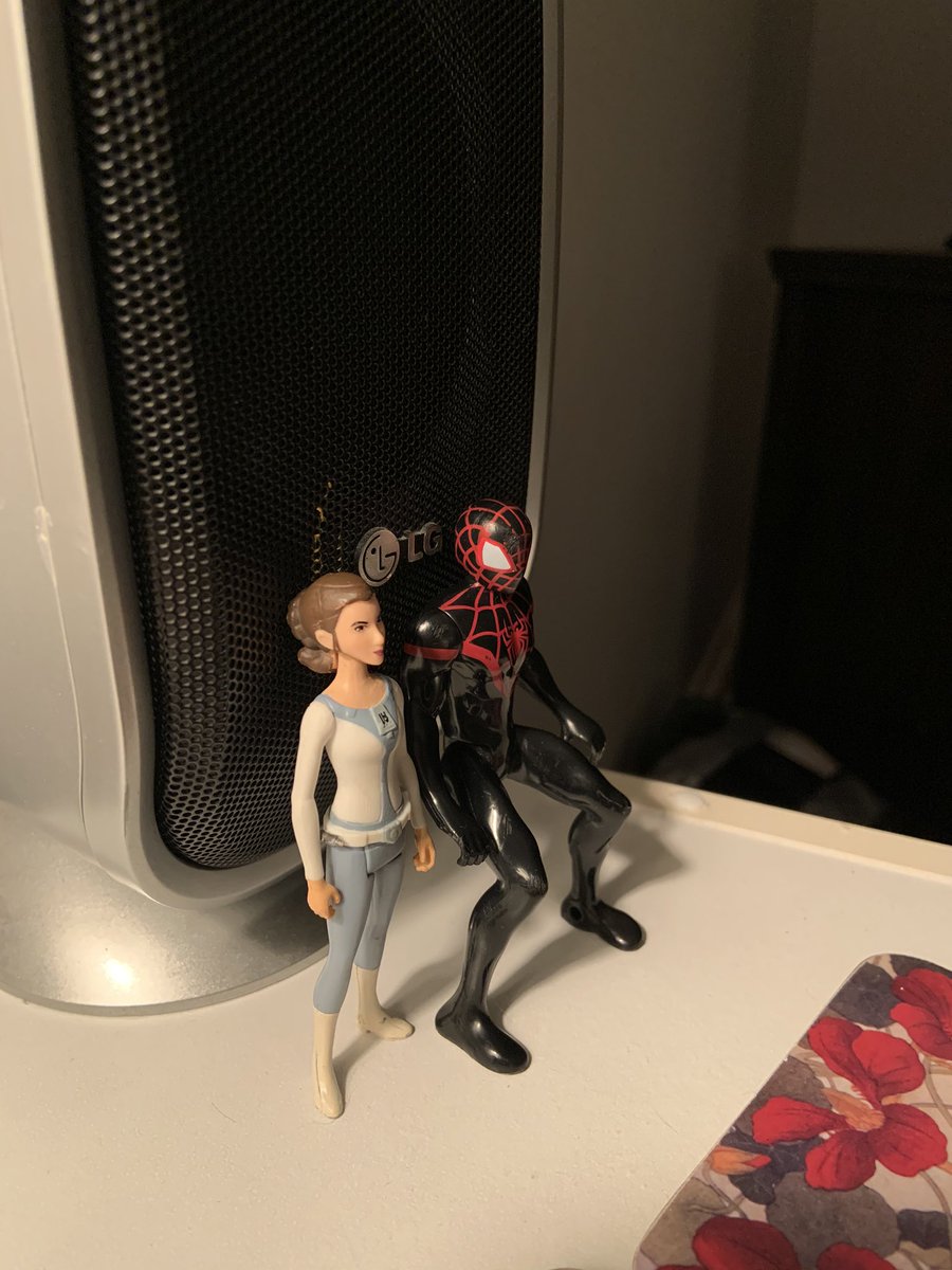 robynsmitchell's tweet photo. @HamidsPE We caught Spider-Man doing a wall sit while chatting with Princess Leia! #HeWasThereForHours #QuadsOfSteel https://t.co/k9olj9qj9h