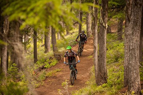 Silver Mountain tweet media