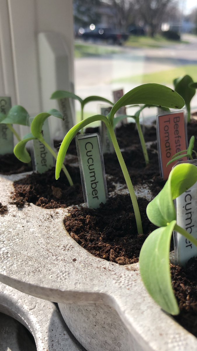 Brian Leichnitz tweet media