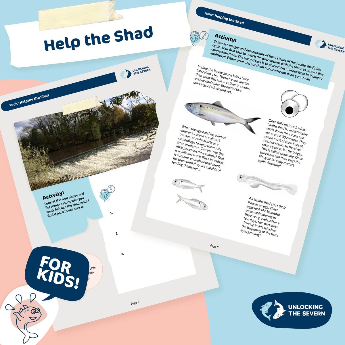 We have just published some fantastic NEW education packs to introduce young learners to the world of water & rivers. Loads of fun activities!  #HomeSchooling  #OnlineLearning  #EducationResources  @severnrivers  @CRTWalesandSW  @CanalRiverTrust  #HomeSchooling https://www.unlockingthesevern.co.uk/get-involved/fun-and-learning/